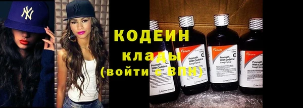 молекула духа Богданович
