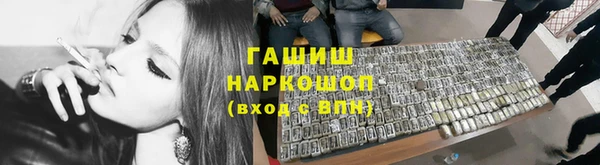 молекула духа Богданович