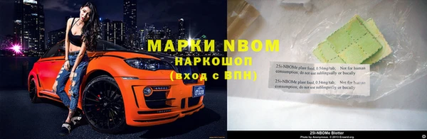 молекула духа Богданович