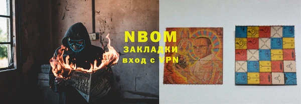 молекула духа Богданович