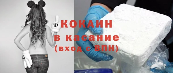 молекула духа Богданович