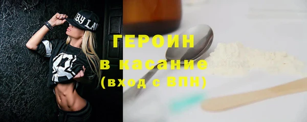 молекула духа Богданович