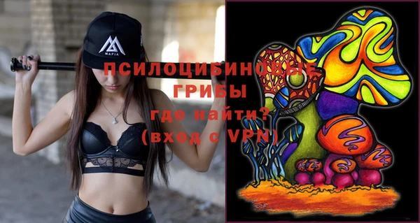 первитин Богородицк