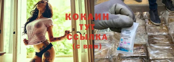 молекула духа Богданович