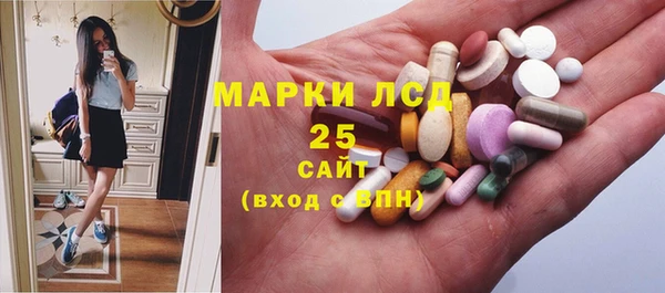 молекула духа Богданович
