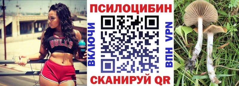 Псилоцибиновые грибы Psilocybine cubensis  Купить закладки  Серов 