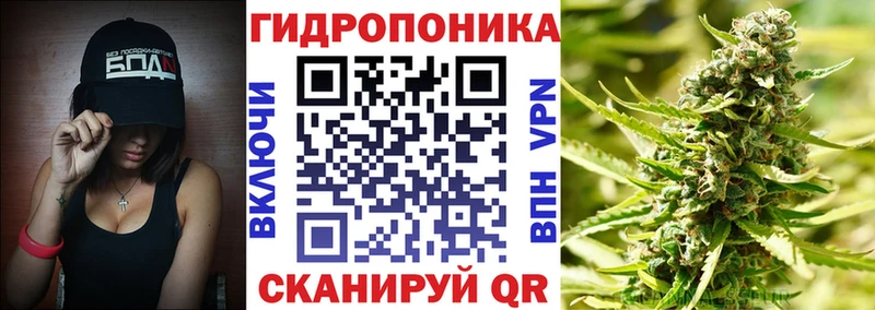 Бошки марихуана гибрид  Купить закладки  Серов 